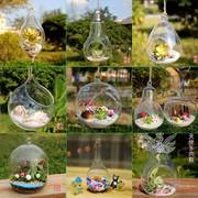 悬挂玻璃花瓶多肉植物花盆微景观，生态瓶透明圆形吊瓶婚庆用品