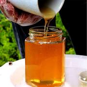 田园小漠家泡柠檬水纯正天然土，蜂蜜农家自产中蜂百花蜜蜂场