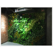 仿真植物墙 绿色假植物墙 室内装饰大型植物墙 足球场摆设植物墙