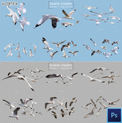 海鸥 飞翔鸟群海鸟翱翔园林景观设计图鸟类Psd分层源文件素材