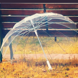 16骨透明雨伞长柄伞创意，雨伞自动伞明星男女，雨伞透明伞广告伞