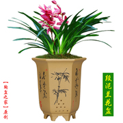 紫砂花盆六方君子兰，花盆室内圆形盆景盆，陶瓷盆栽植物简约