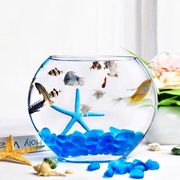 创意扁口玻璃鱼缸椭圆形高白透明玻璃，金鱼缸(金鱼缸，)迷你水族箱小型桌面