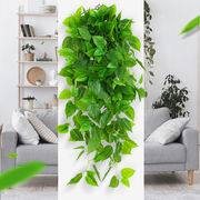 仿真植物壁挂假花藤条藤蔓绿植，墙面客厅室内绿萝吊兰装饰挂墙吊篮