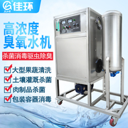 10g氧气源臭氧水机高浓度(高浓度)果蔬清洗机，消毒杀菌设备发生器臭氧水机