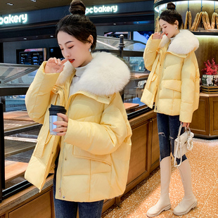 白鹅绒(白鹅绒)羽绒服，女短款2023年冬装时尚，减龄洋气超大毛领加厚外套