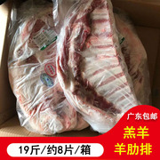 广东羊排骨19斤草原生新鲜冷冻羊肉烧烤羊肋排蒙古羊蝎子