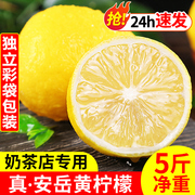 四川安岳黄柠檬新鲜水果奶茶店专用现摘无籽薄皮一级香水甜柠檬青