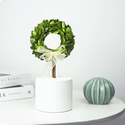 创意植物干花花束客厅摆设家居，餐桌装饰摆件桌面永生绿植室内盆栽