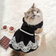 小猫咪衣服秋装布偶猫蓝猫幼猫猫宠物秋冬季保暖防掉毛淑女蕾丝裙