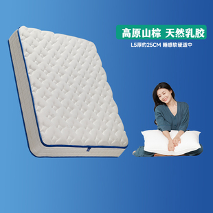 玮兰山棕床垫天然乳，胶垫可定制单人双人独立簧床垫子1.5米1.8ml5