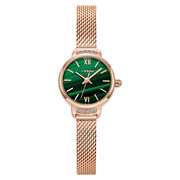 女表代发9853士手表，个性米兰网带小绿表，创意跨境sinobi时尚