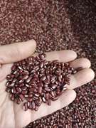 2020新货赤小豆，500g东北赤豆，农家自产五谷杂粮赤小豆