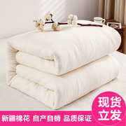 新疆棉被纯棉花被芯床垫全棉，被子棉絮加厚垫被，褥子冬被保暖手工被