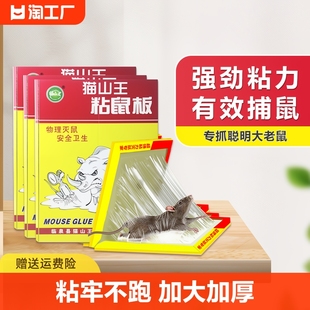 50张强力粘鼠板大老鼠灭鼠笼捕鼠夹神器，家用一窝端老鼠贴耗子家居