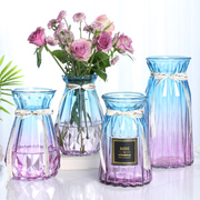 北欧创意透明玻璃花瓶水培，绿萝植物干花鲜花，插花瓶客厅装饰摆件