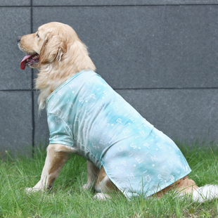 狗狗衣服夏季薄款大狗拉布拉多萨摩耶，边牧中型大型犬夏天金毛背心