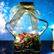 创意幸运星玻璃木塞许愿瓶，透明漂流夜光，五角星折纸材料成品礼物