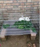 兔笼荷兰猪用品兔子笼子宠物，养殖特大号大号超大兔子，笼兔笼子