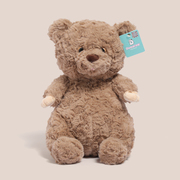 棕色泰迪熊毛绒玩具小熊公仔娃娃女生睡觉抱抱熊玩偶生日礼物可爱