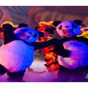 大熊猫表演服熊猫宝贝儿童演出服卡通动物造型熊猫宝宝舞蹈服