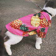 宠物猫咪狗狗衣服薄款防掉毛空调服中小大型犬，雪纺粉菠萝衬衫