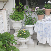 复古白色欧式花盆大号，高盆圆形落地多肉植物，盆栽花器花园庭院阳台