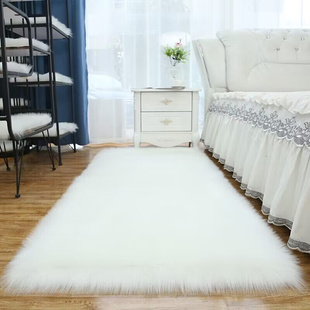 北欧简约长毛绒地毯卧室客厅沙发飘窗可爱定制榻榻米坐垫防滑