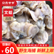 吕四特产海鲜文蛤肉250克一包蛤蜊肉花甲花蛤肉螺海螺海鲜贝