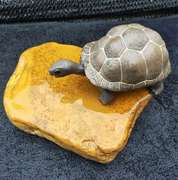 高档乌龟晒台天然小碎石黄蜡腊石平板方形砖头鱼龟缸造景晒背发色