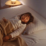 高端儿童抗菌防螨黑苦荞枕芯吸汗助眠四季通用荞麦护颈枕头30x50