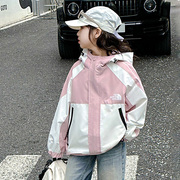 女童春款外套2024洋气中大童学生春装儿童春季薄款连帽冲锋衣