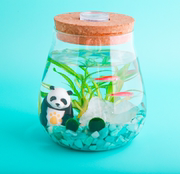 迷你小缸「U形生态瓶」球藻MARIMO桌面带鱼观赏好养DIY水族微景观