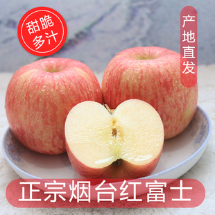山东烟台栖霞红富士苹果当季新鲜脆甜一级条纹