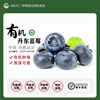 有机蓝莓2斤新鲜丹东有机种植无添加现摘现发蓝莓