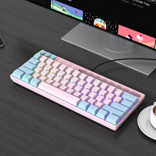 有线小键盘迷你可爱笔记本外接USB女生台式机加厚网红直播粉红色