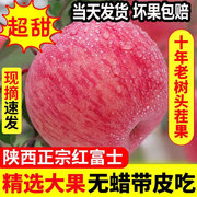 正宗陕西洛川苹果水果，新鲜当季整箱，红富士冰糖心特级脆甜10斤