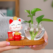 新中式家居客厅招财猫水培，小摆件花瓶创意桌面，玄关酒柜装饰品高端