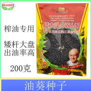 怡冉DW667矮大头早熟杂交油葵种子榨油专用春季夏季向日葵籽