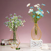 创意欧式灯笼花瓶摆件，轻奢风铁艺水培，玻璃创意家居客厅插花装饰品