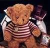 泰迪熊布娃娃女生抱抱熊毛绒玩具熊公仔(熊公仔)大号超大床上2米抱枕