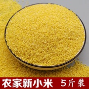 黄小米5斤小黄米 食用小米新米粗粮宝宝米月子米五谷杂粮吃的小米
