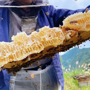 原生态土蜂蜜纯天然农家，自产百花蜂蜜洋槐，蜜蜂巢蜜做面膜解酒
