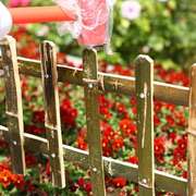 竹篱笆栅栏围栏庭院植物，爬藤花架花园菜园竹子，护栏户外伸缩竹围墙