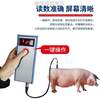 b超机B超兽猪用便携超机机测孕高清仪器b通通牛羊畜牧兽用&检孕
