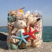 超级大海螺壳然缸真贝壳15528摆件，儿童天玩具礼物海星瑚鱼水珊族