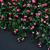 仿真玫瑰花藤客厅藤蔓假花花藤条空调管道装饰花藤缠绕塑料花壁挂