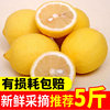 新鲜水果安岳黄柠檬(黄柠檬)9斤装奶茶店专用新鲜柠檬一级皮薄整箱