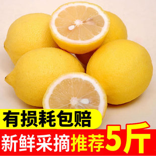 新鲜水果安岳黄柠檬(黄柠檬，)9斤装奶茶店，专用新鲜柠檬一级皮薄整箱