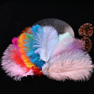 1件5根 彩色鸵鸟羽毛服装辅料婚庆装饰材料 DIY手工羽毛